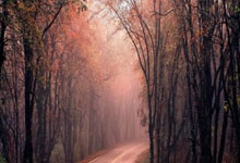 旺财28官网：劳尔-阿森西奥：入选国家队是我的梦想，感谢皇马给我机会.