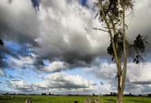 2025年长沙市青少年击剑公开赛举行.