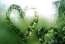 [图]U20亚洲杯-蒯纪闻破门 国青2-1卡塔尔迎开门红.