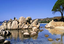 旺财28官网：前意甲裁判：迪洛伦佐倒地是明显点球，无法理解主裁的判罚.